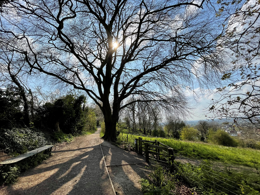 Ladies walk